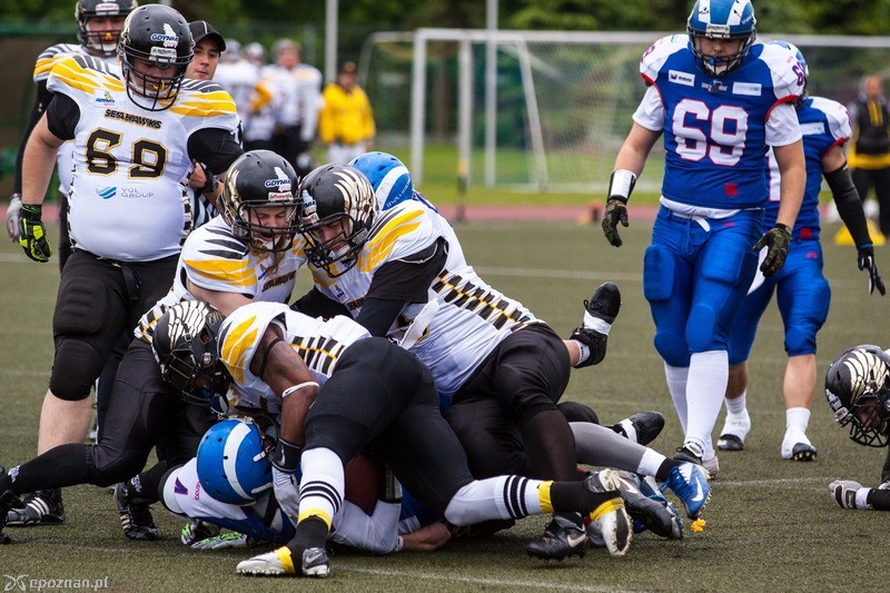 Kozły Poznań - Seahawks Gdynia 26:54 | fot. Tomasz Szwajkowski