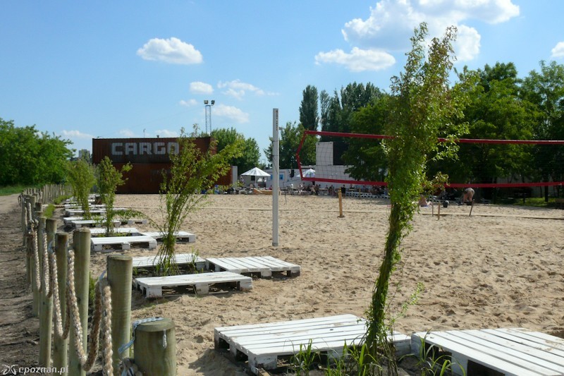 fot. Elżbieta Skowron