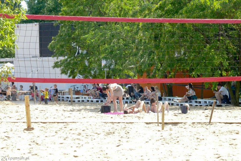 fot. Elżbieta Skowron