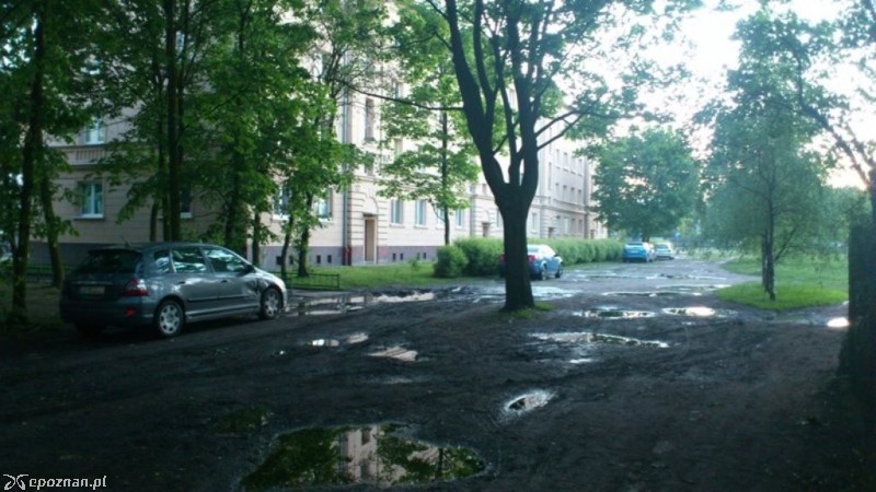fot. czytelniczka