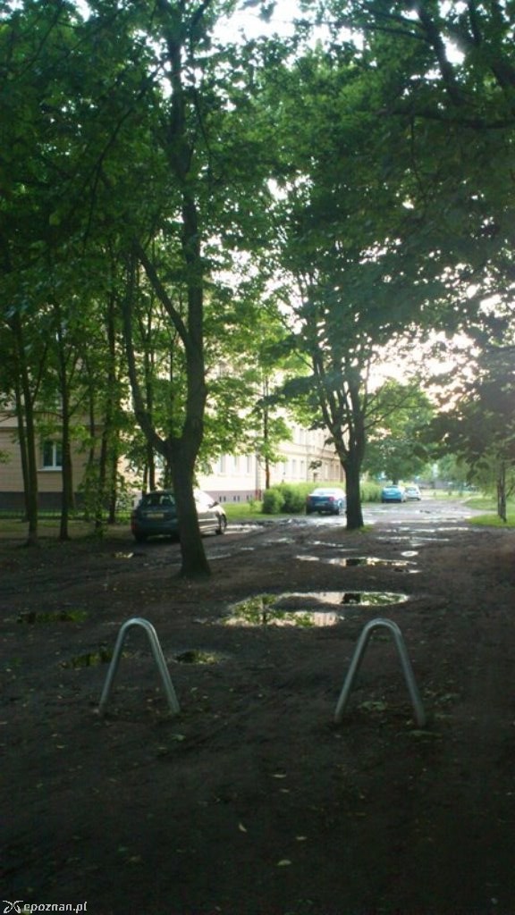 fot. czytelniczka