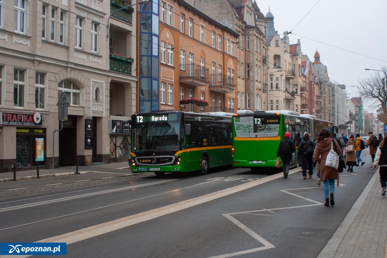 fot. Krystian Andrzejewski