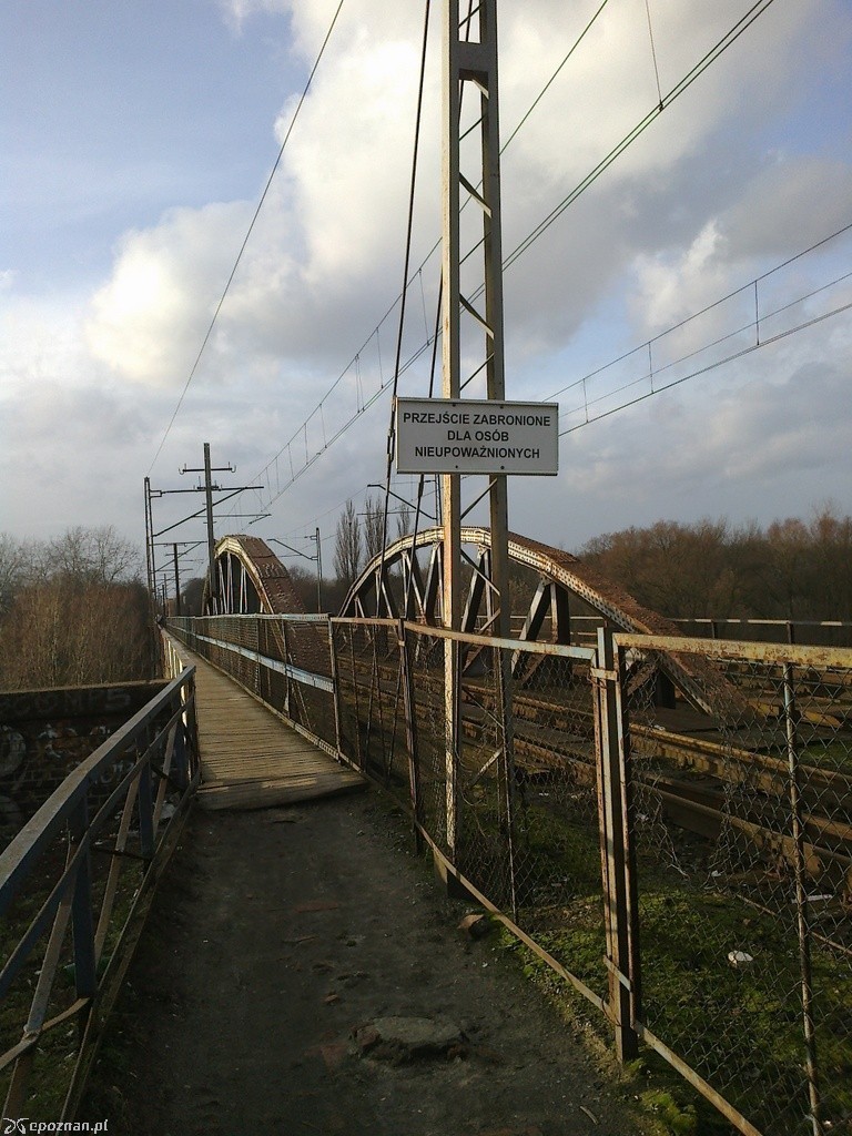 Znaki pojawiły się tutaj w lutym 2013 roku, są niszczone | fot. Mariusz - archiwum