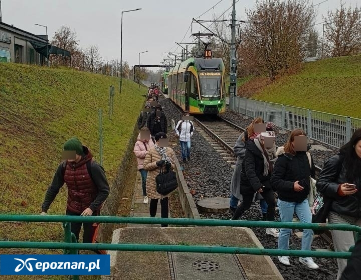fot. Czytelnik