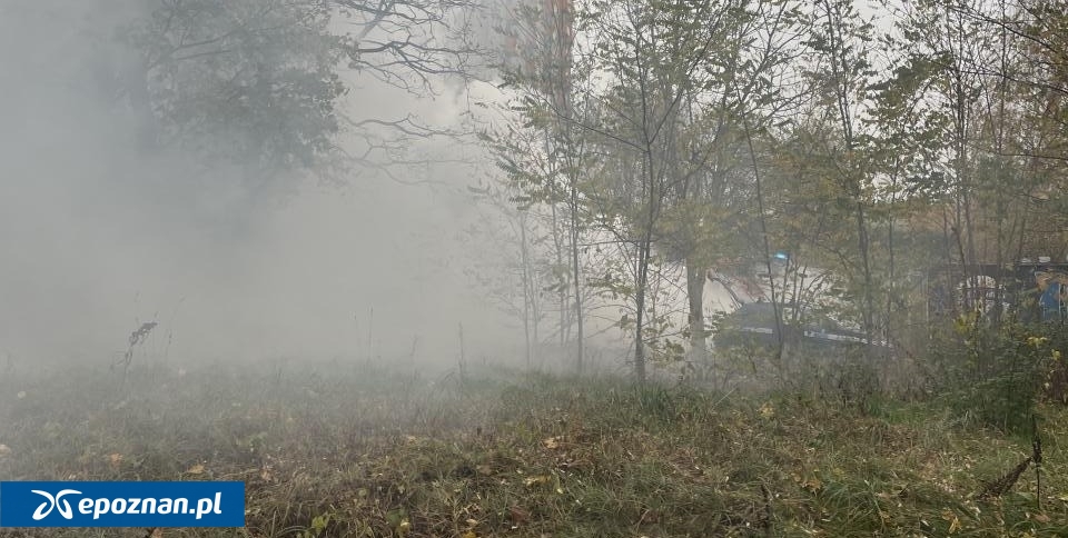 fot. Miłosz Kosicki