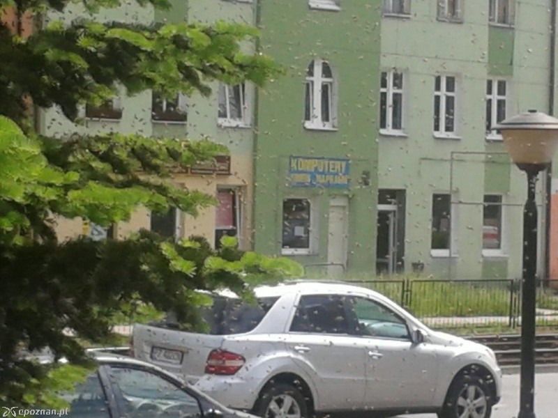 fot. Piotr