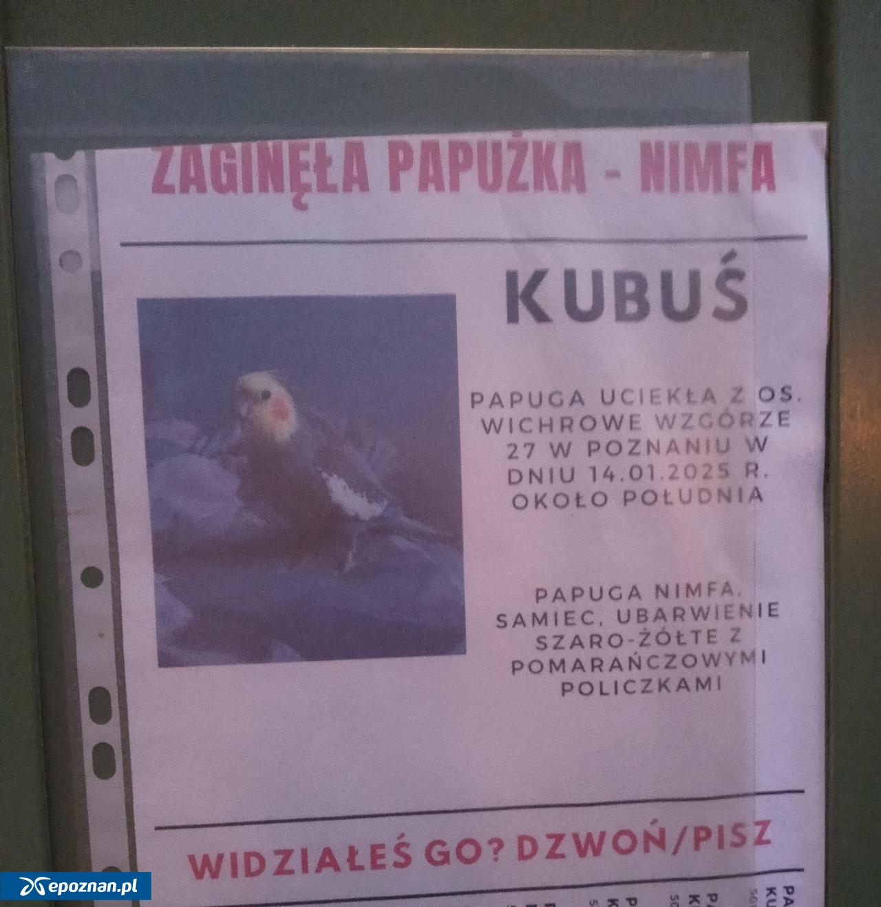 fot. Straż Miejska