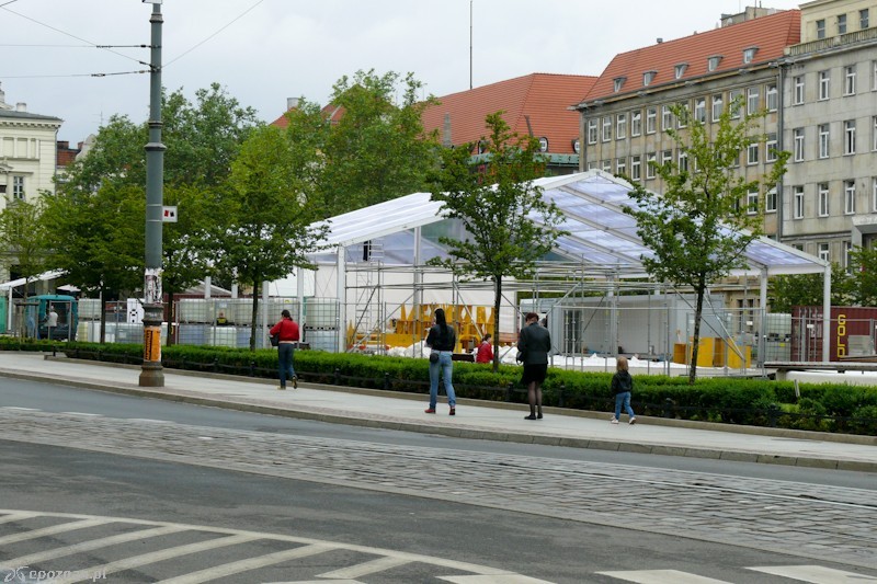 fot. Elżbieta Skowron