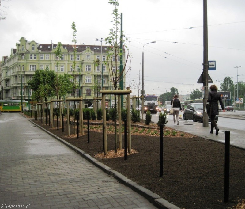 fot. ZDM Poznań