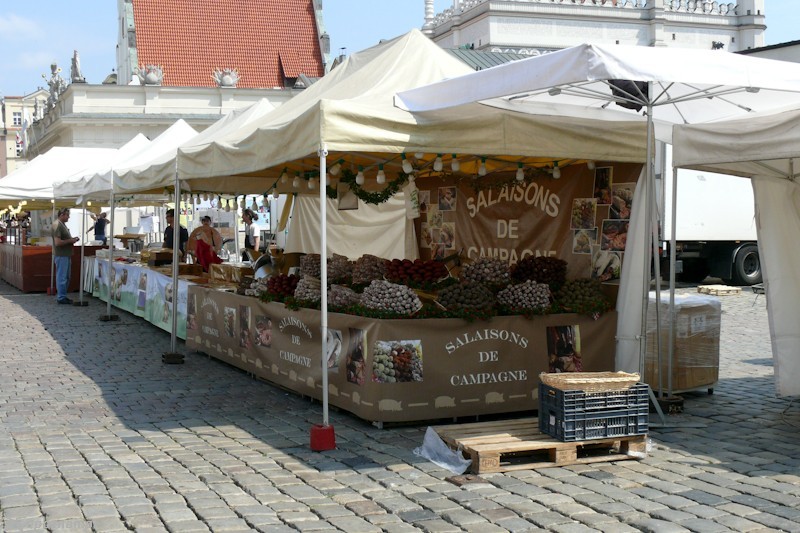 fot. Elżbieta Skowron