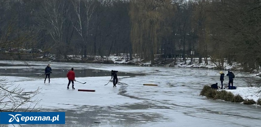 fot. Czytelniczka