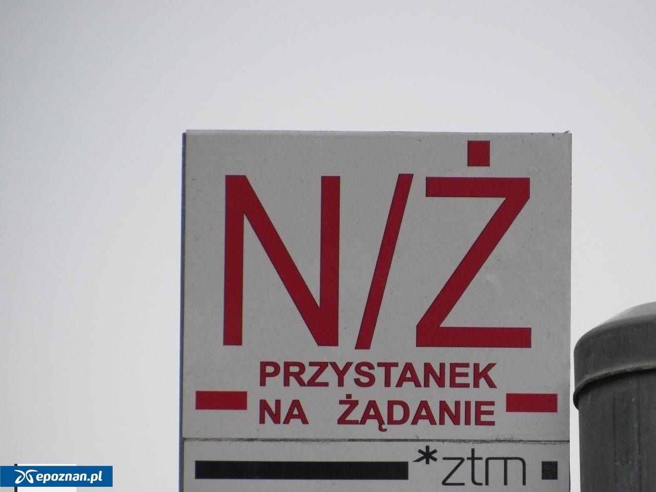 zdjęcie ilustracyjne, archiwum | fot. ZTM Poznań