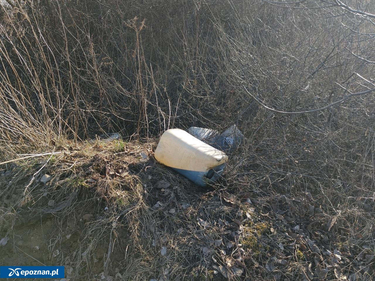 fot. Straż Miejska Miasta Poznania / FB