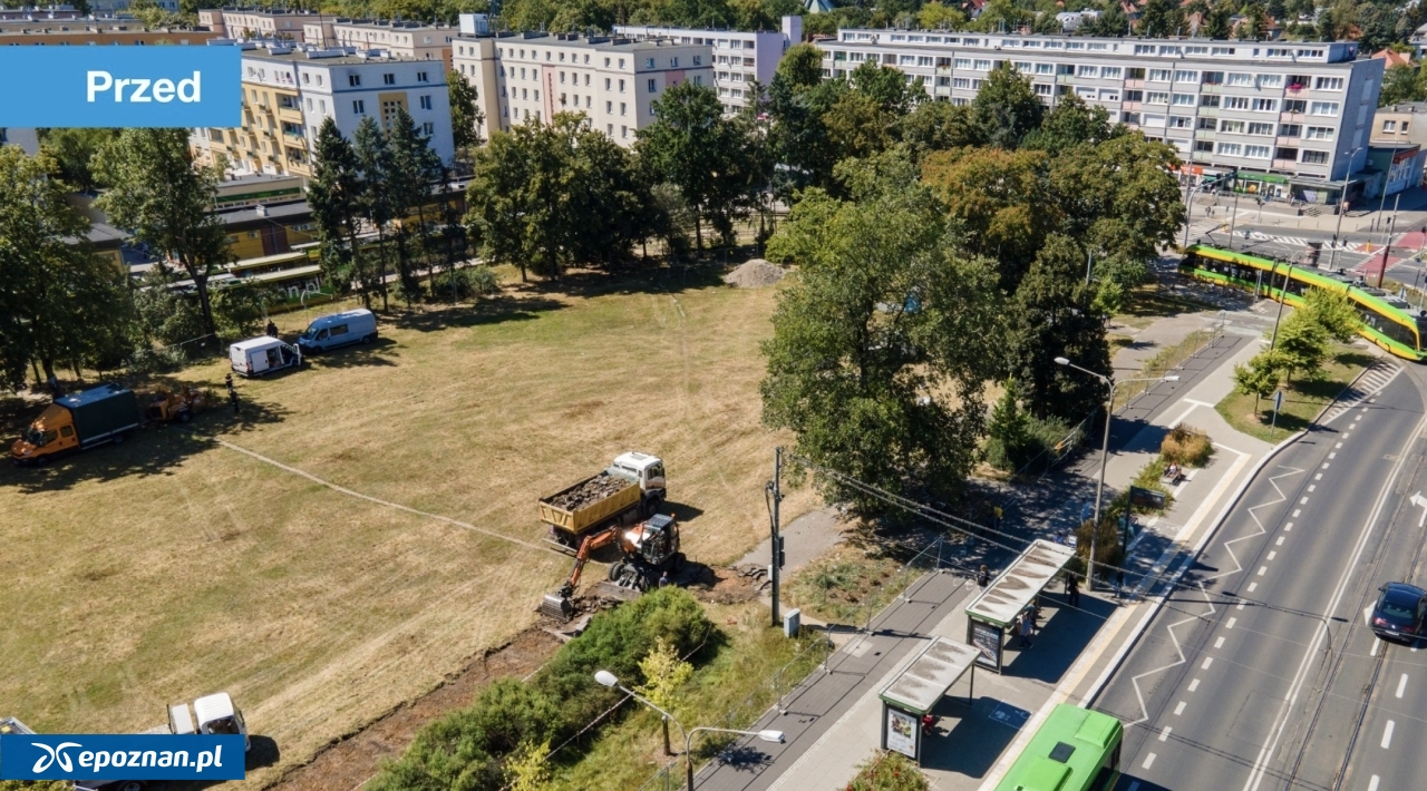 fot. UM Poznań