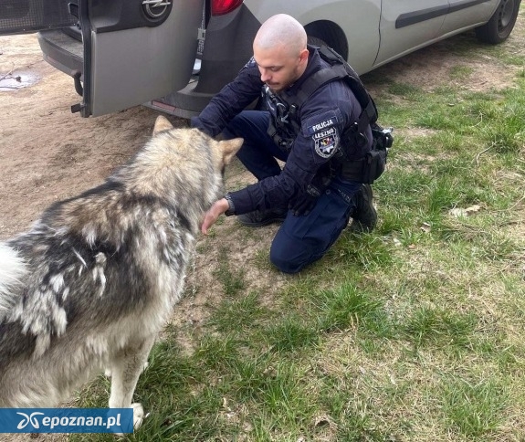 fot. Policja Leszno