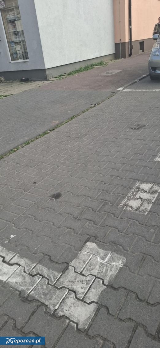 fot. Czytelniczka
