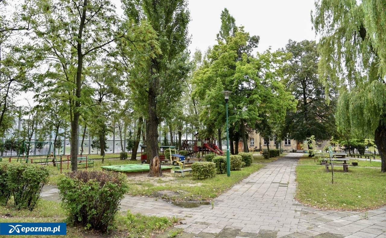 fot. UM Poznań