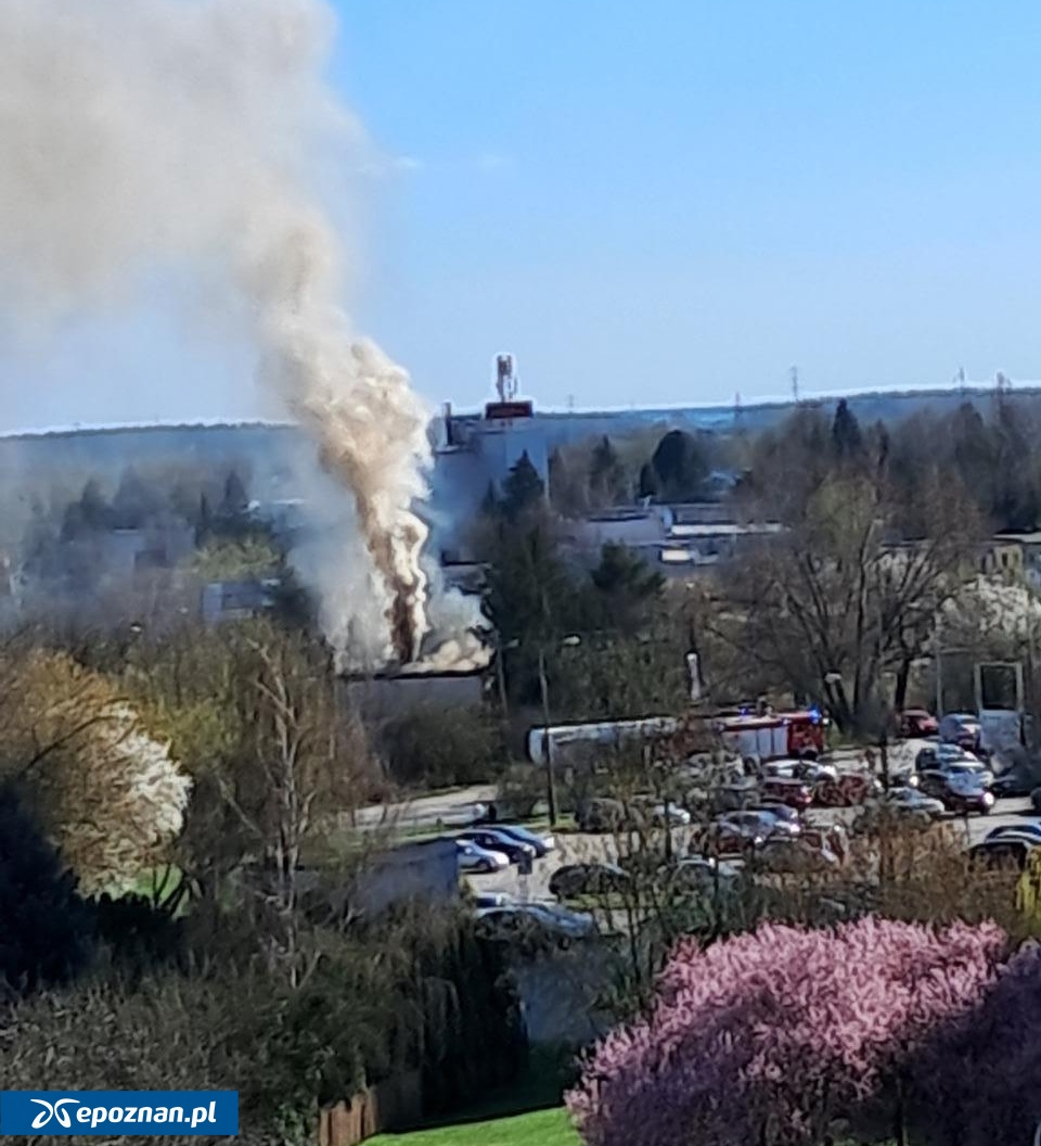 fot. Czytelniczka