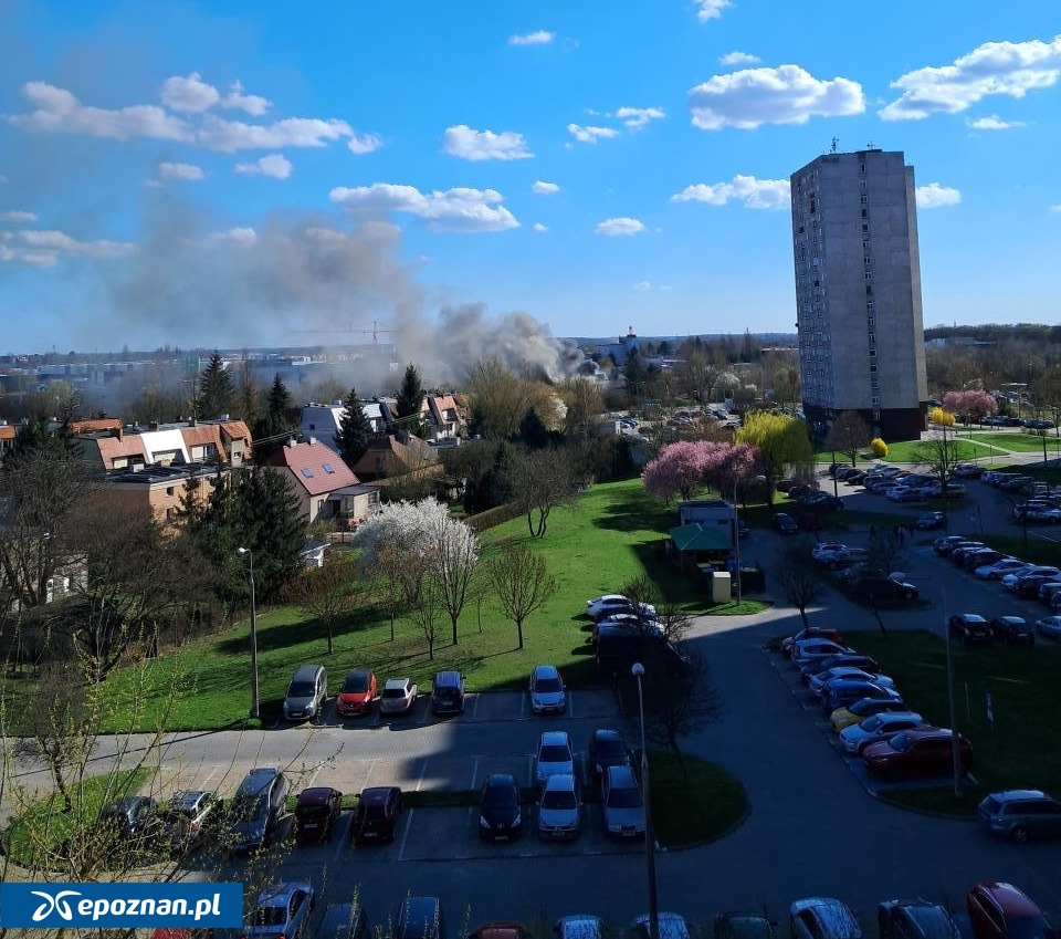 fot. Czytelniczka