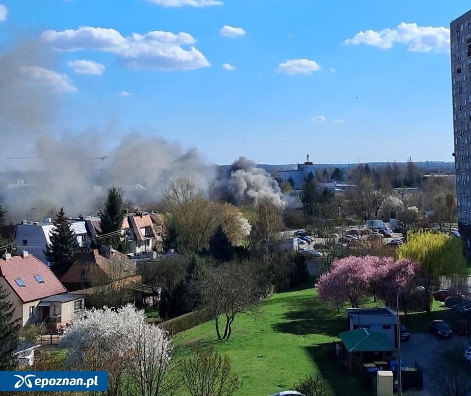 fot. Czytelniczka