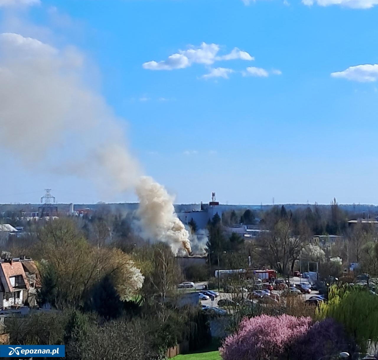 fot. Czytelniczka