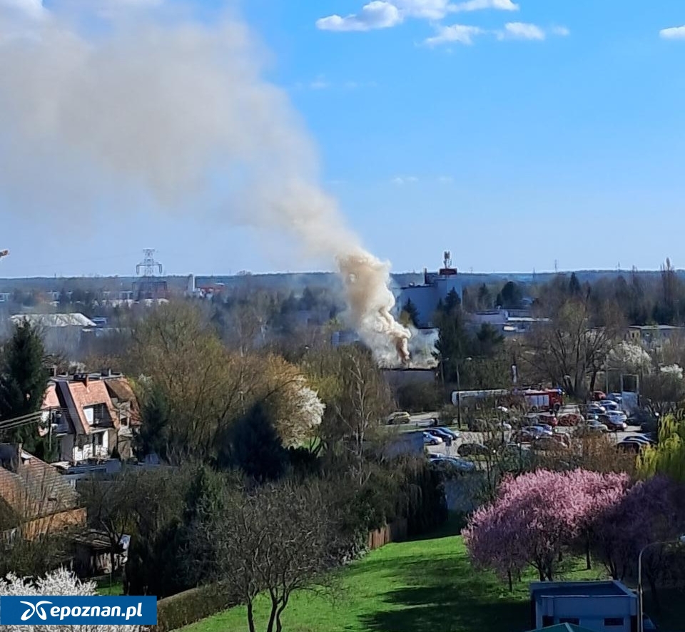 fot. Czytelniczka