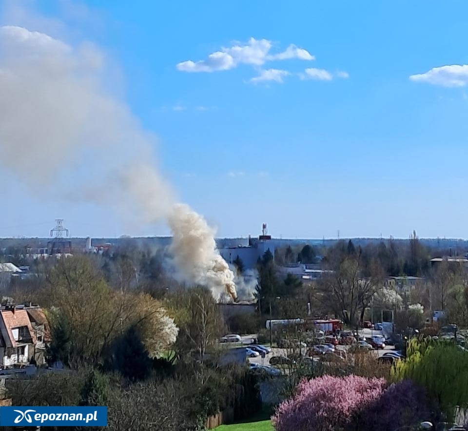 fot. Czytelniczka
