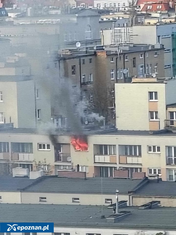 fot. Czytelniczka