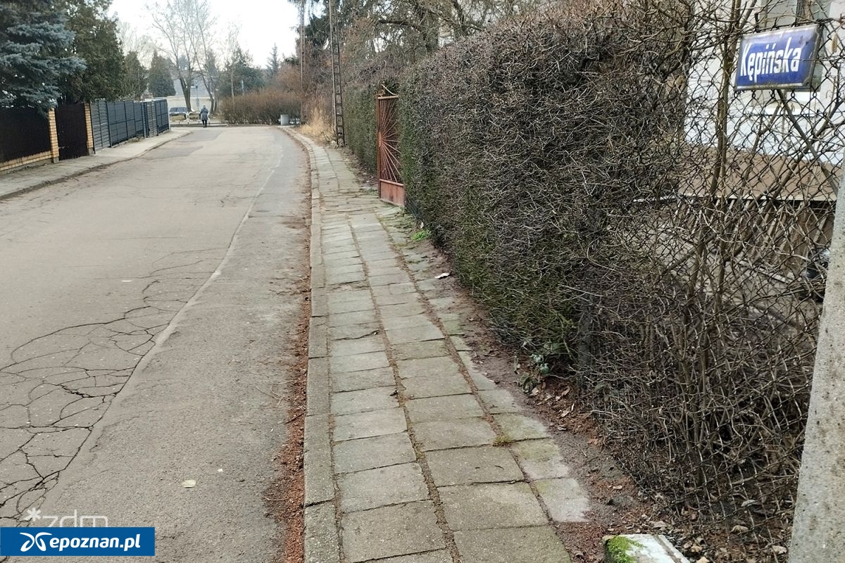 fot. ZDM Poznań