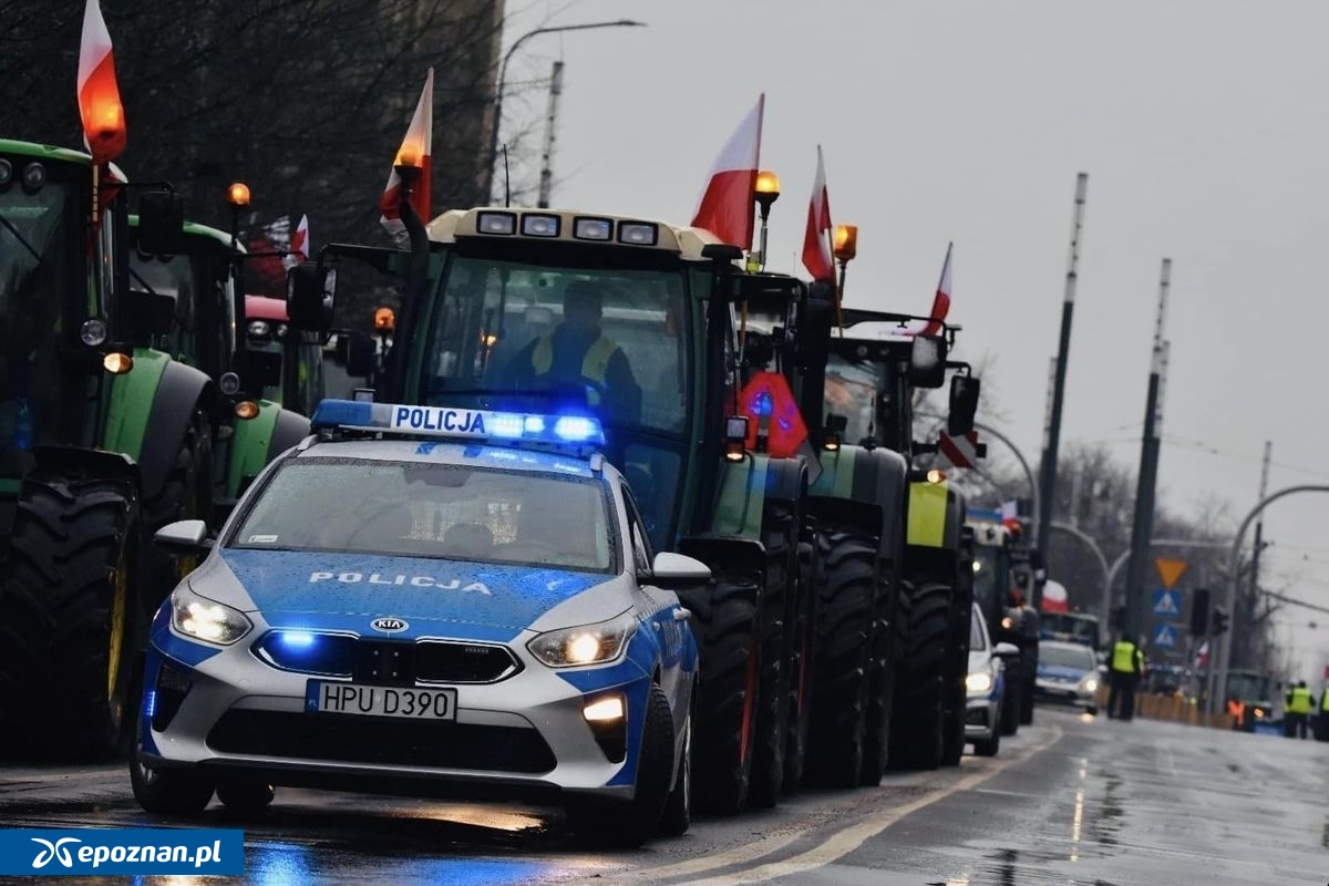 fot. Policja