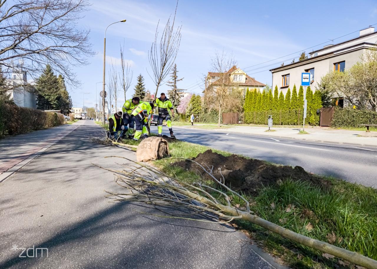 fot. ZDM Poznań