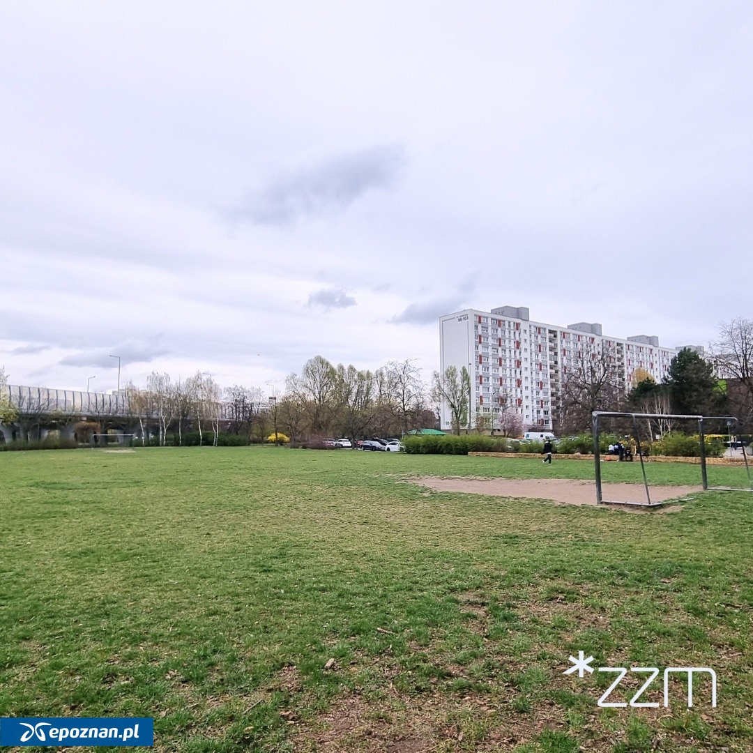 fot. ZZM Poznań