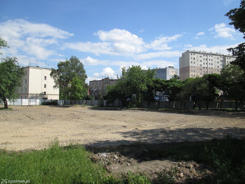 fot. Nishio