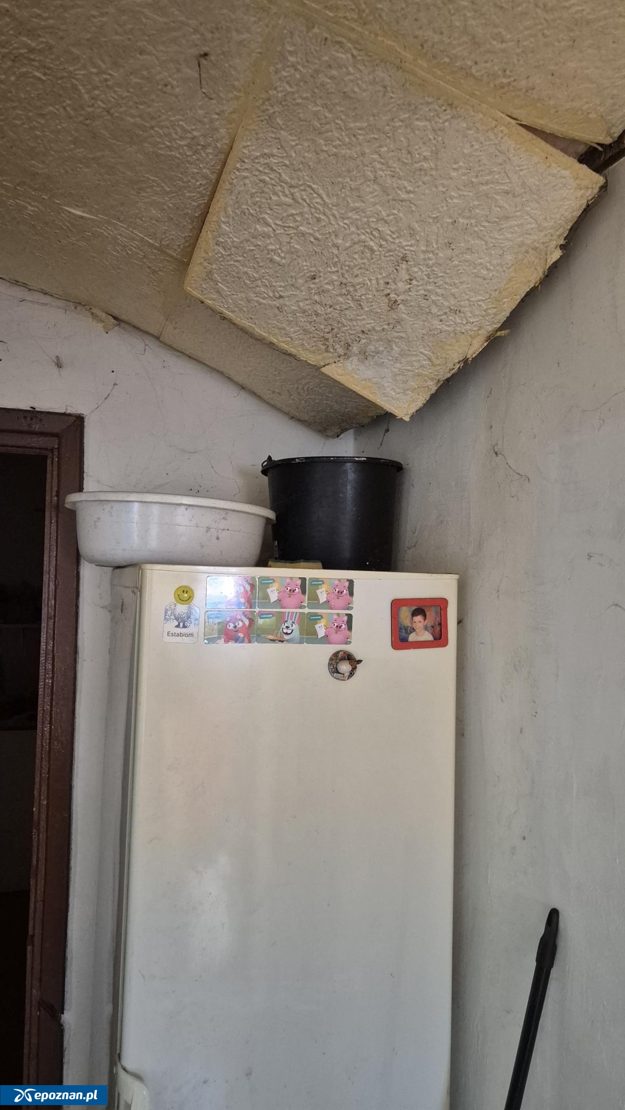 fot. Zarządca osiedla Maltańskiego