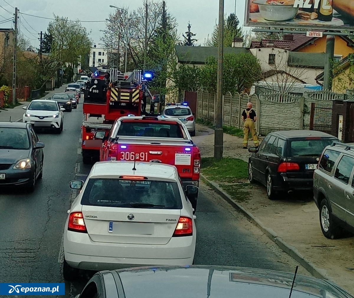 fot. Czytelnik Darek.
