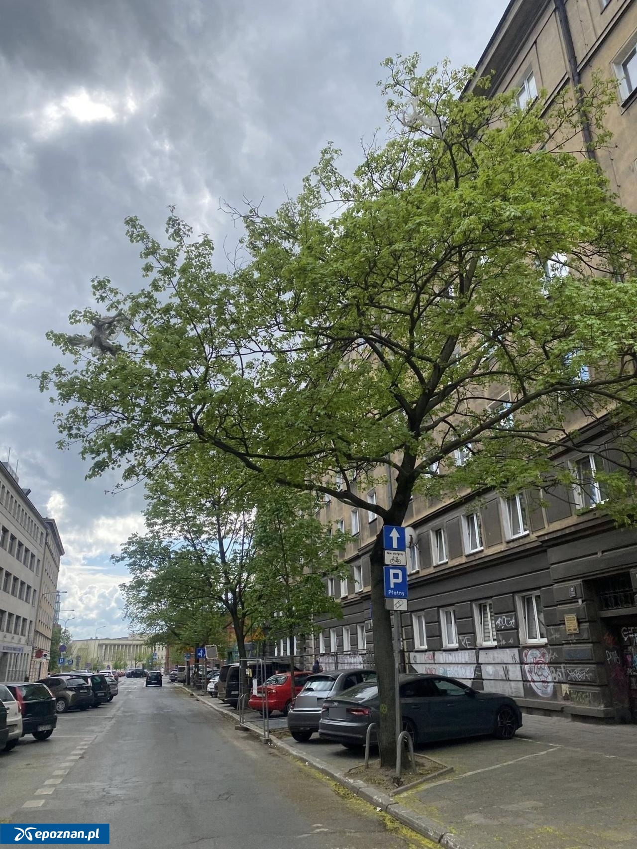fot. Stowarzyszenie Plac Wolności