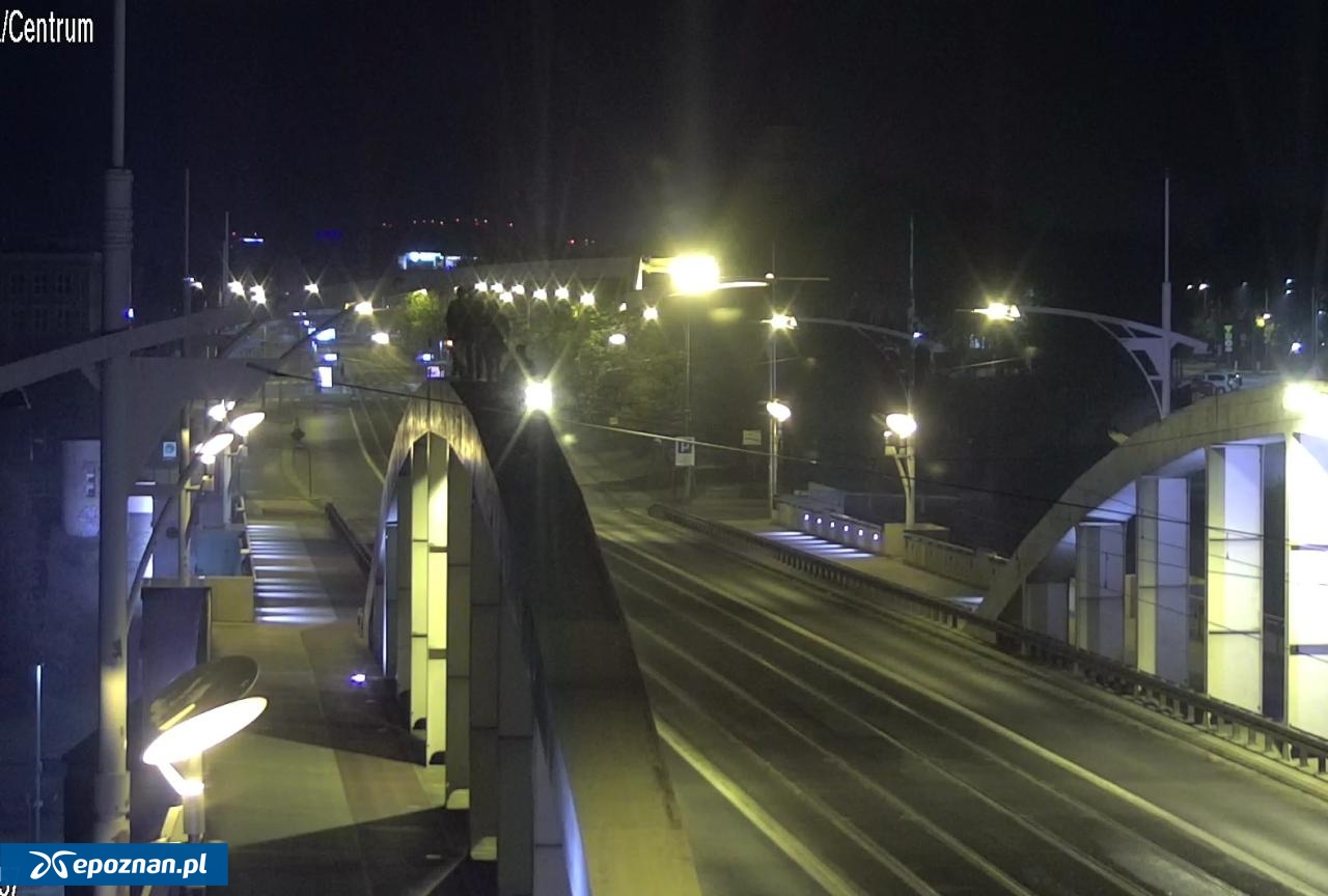 fot. Straż Miejska w Poznaniu