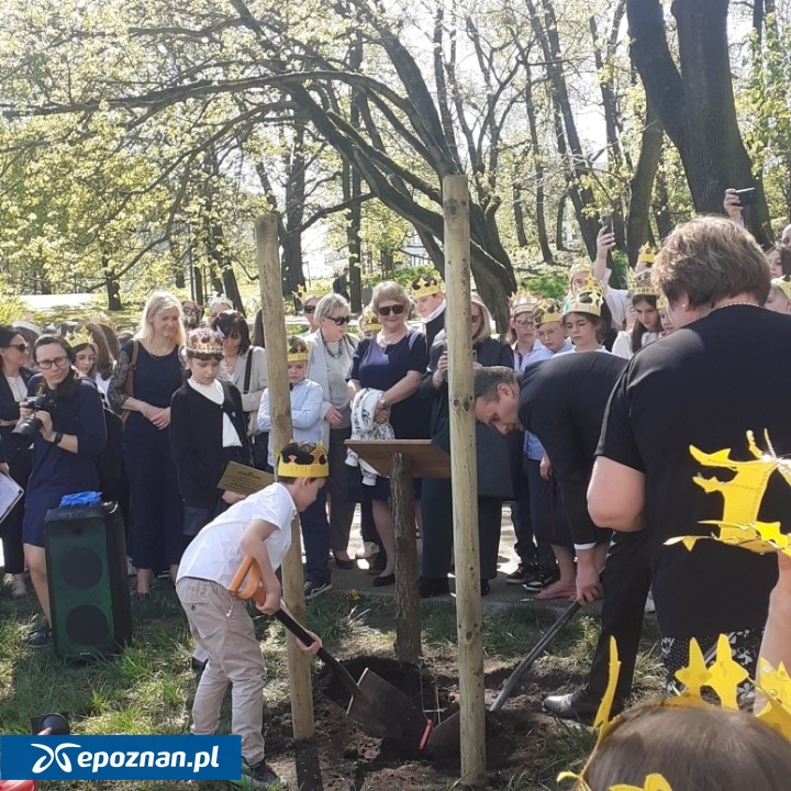 fot. ZZM Poznań