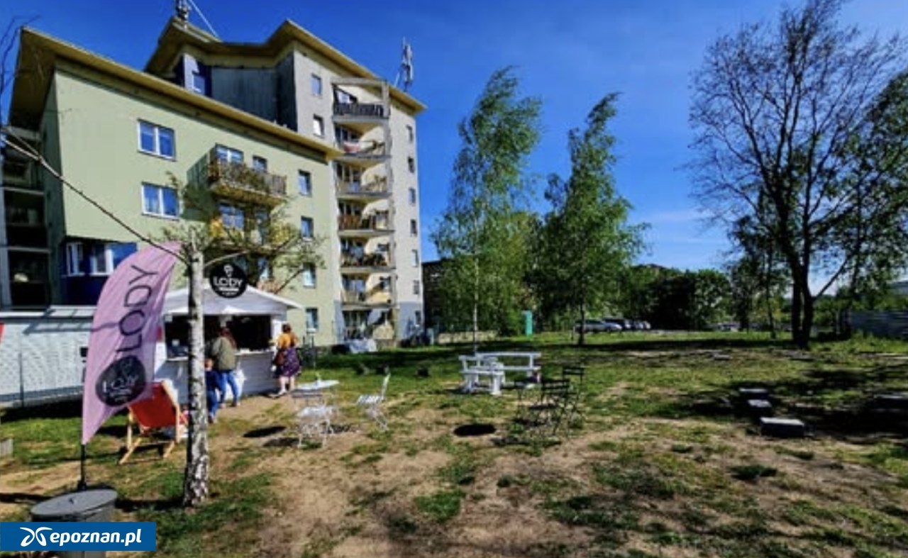 fot. Czytelniczka