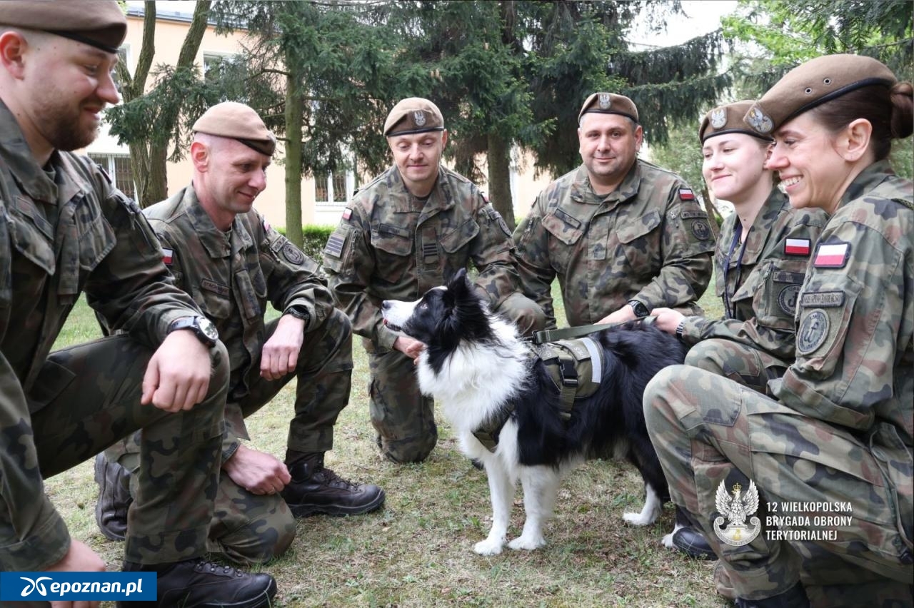 fot. 12. Wielkopolska Brygada Obrony Terytorialnej