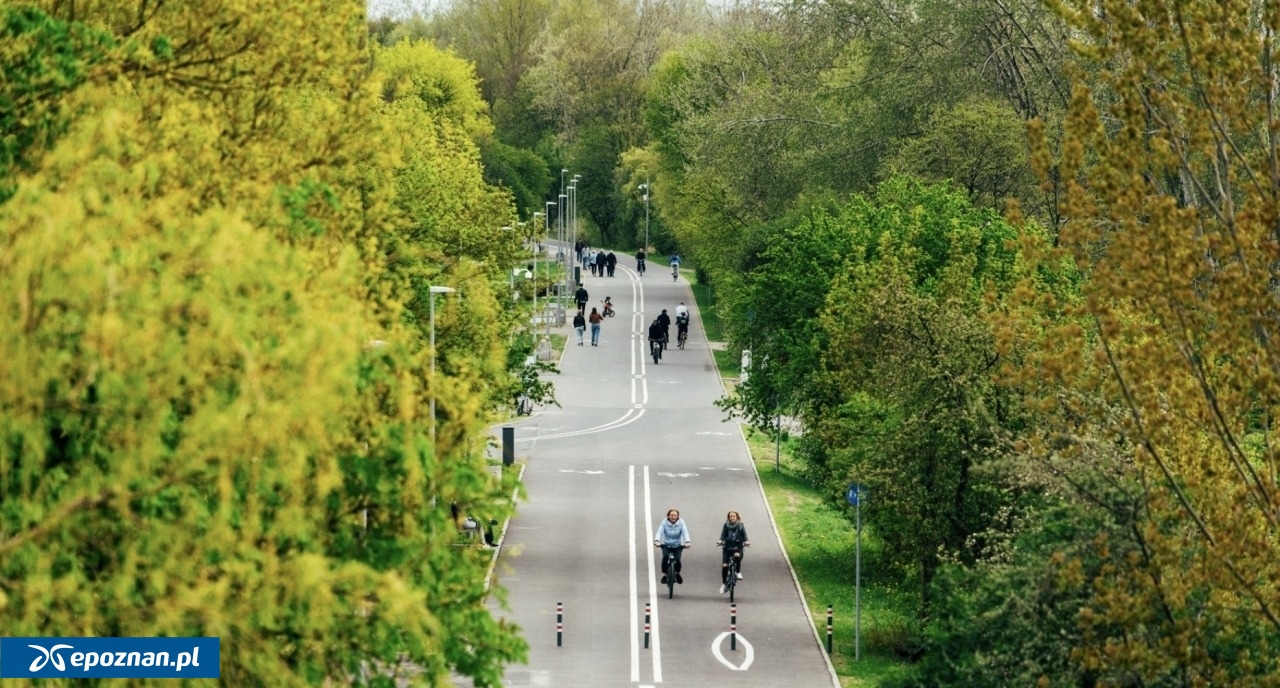 fot. UM Poznań