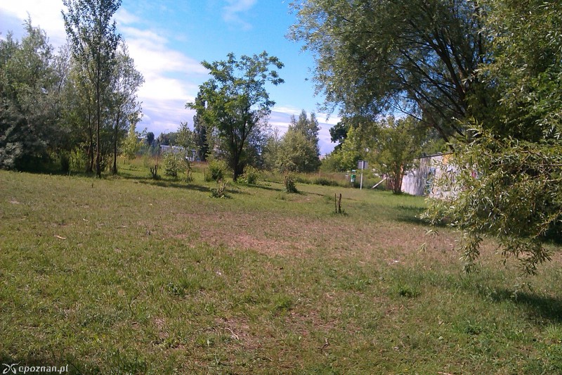 fot. czytelniczka