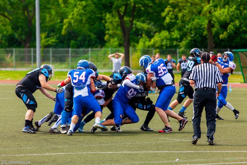 Kozły Poznań - Panthers Wrocław 0:56 | fot. Tomasz Szwajkowski