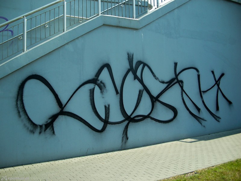 fot. Elżbieta Skowron