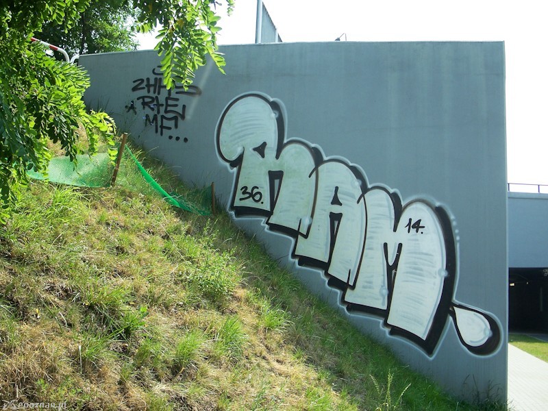 fot. Elżbieta Skowron
