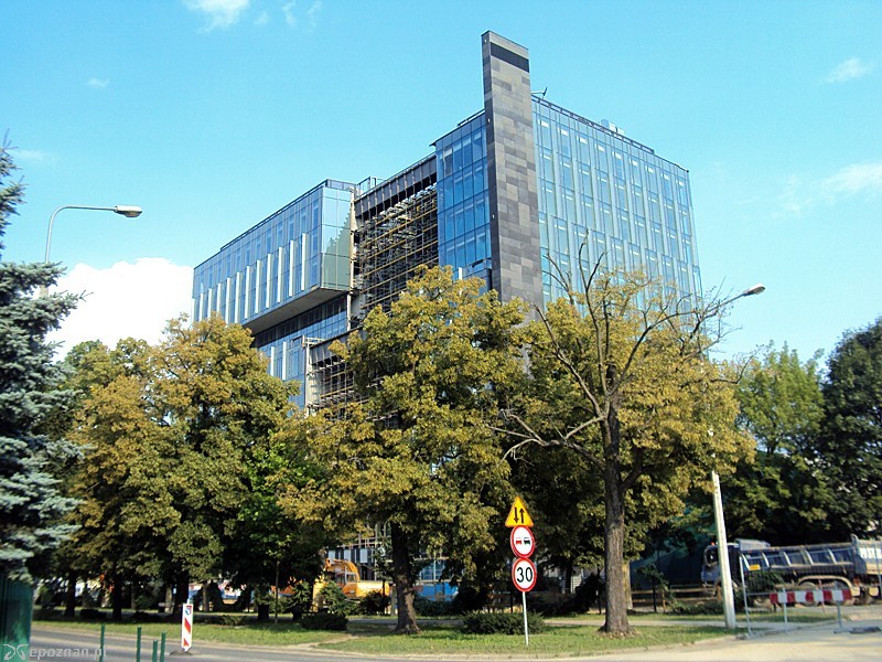 fot. Tomasz Woźniak