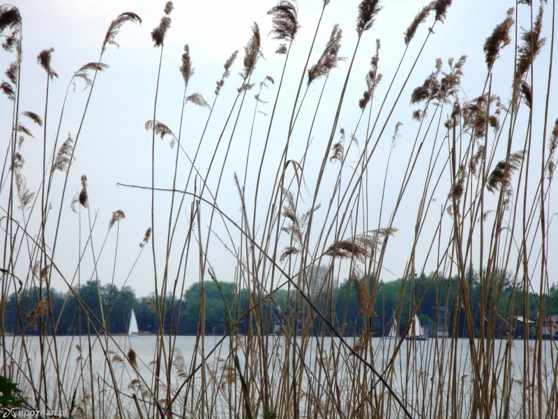 fot. Iwona Pikuta