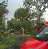 Powalone drzewa w miejscowości Dymaczewo Stare | fot. Sebastian Cichocki