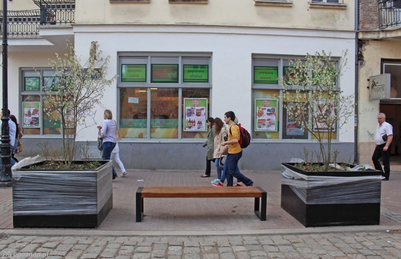 fot. Adrian Potrawiak - archiwum