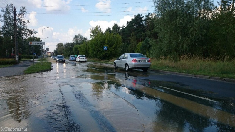 fot. Tomasz Szwajkowski